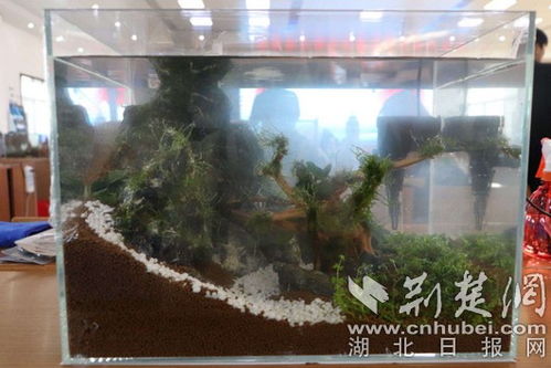 全國110名大學生水產(chǎn)技能選手齊聚湖北生物科技職業(yè)學院展風采