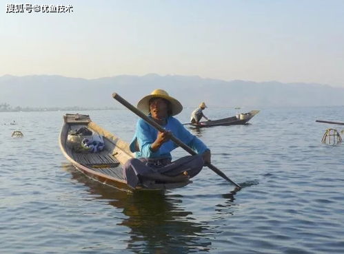 優(yōu)魚技術(shù)水質(zhì)監(jiān)測系統(tǒng),讓水產(chǎn)養(yǎng)殖更加科學(xué)