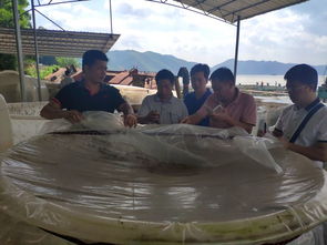 廣西自治區(qū)水產(chǎn)技術(shù)推廣總站率專家團(tuán)隊(duì)到梧州調(diào)研水產(chǎn)養(yǎng)殖綠色發(fā)展情況