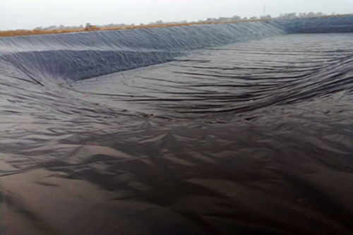 防滲復(fù)合土工膜制造商,土工膜市場價(jià)