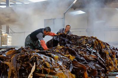 金融支點撬動三產(chǎn)融合 恒豐銀行威海分行助力&ldquo;海帶之都&rdquo;提檔升級