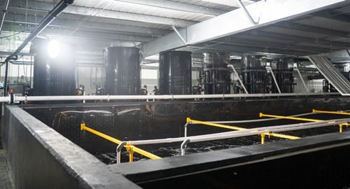 全球人均每年消費41斤魚類 漁業(yè)如何可持續(xù)發(fā)展 看海璟水產(chǎn)如何做