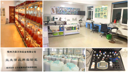 歸國學(xué)子的一往情&ldquo;參&rdquo;--記歸國學(xué)子郝景航和他養(yǎng)殖海參的創(chuàng)業(yè)故事