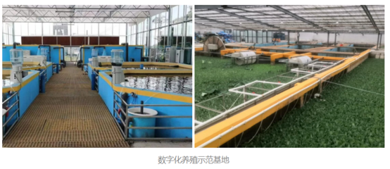 大愛無邊 暖冬守護(hù) | 凱米斯用行動詮釋公益助農(nóng)