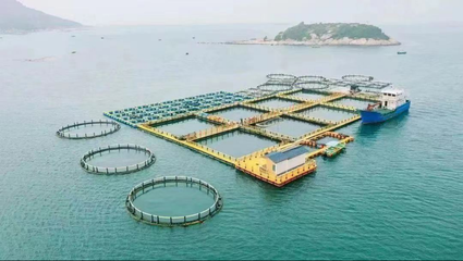 高水平建設(shè)&ldquo;深藍(lán)糧倉&rdquo; 農(nóng)科集團(tuán)擬投資20億元打造深遠(yuǎn)海養(yǎng)殖平臺