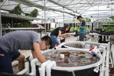 粵港澳大灣區(qū)提供新機遇:香港青年到江門&ldquo;當(dāng)農(nóng)民&rdquo;獲千萬港元投資