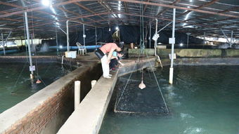 全國(guó)水產(chǎn)養(yǎng)殖尾水排放要求標(biāo)準(zhǔn)技術(shù)調(diào)研工作交流會(huì)在天馬科技集團(tuán)圓滿召開(kāi) 天馬科技