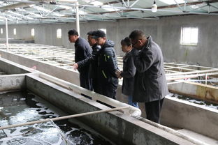 天津市水產(chǎn)產(chǎn)業(yè)技術(shù)體系創(chuàng)新團(tuán)隊首席專家邢克智教授帶隊赴東麗區(qū) 濱海新區(qū)指導(dǎo)水產(chǎn)養(yǎng)殖工作