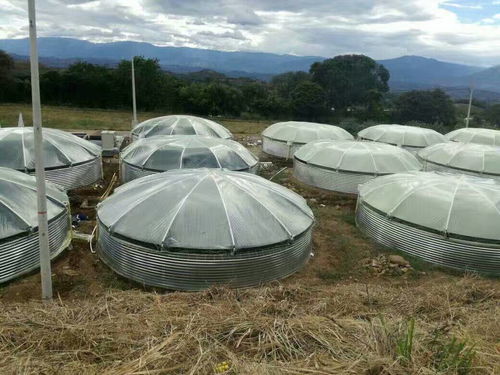 水產(chǎn)養(yǎng)殖邁入科技養(yǎng)殖時代 低碳節(jié)能高速增氧機(jī) 手機(jī)遠(yuǎn)程操控