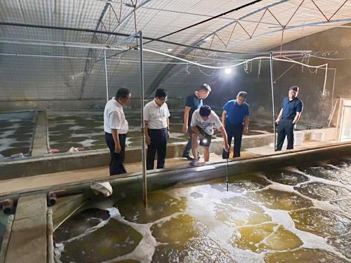 東營(yíng)市人民政府 部門動(dòng)態(tài) 市海洋發(fā)展和漁業(yè)局局長(zhǎng)荊向輝帶隊(duì)開展 進(jìn)漁村 入漁港 上漁船 訪漁民 活動(dòng)