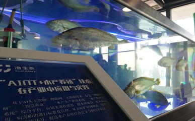 農(nóng)創(chuàng)客&ldquo;論劍&rdquo;余杭 獲勝者將獲百萬(wàn)資助