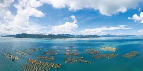 黃海水產(chǎn)研究所3項(xiàng)技術(shù)入選農(nóng)業(yè)農(nóng)村部2023年農(nóng)業(yè)主推技術(shù)