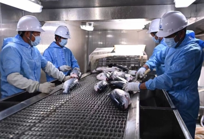 山東省人民政府國(guó)有資產(chǎn)監(jiān)督管理委員會(huì)