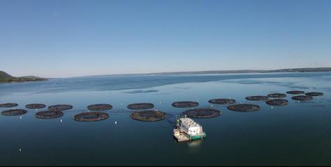 福建國(guó)際朋友圈之美洲篇--走進(jìn)&ldquo;加拿大海洋游樂場(chǎng)&rdquo;新斯科舍省