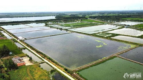 金湖論壇網(wǎng)友 看水產(chǎn)養(yǎng)殖采風(fēng)活動之 走近 金湖農(nóng)科家庭農(nóng)場