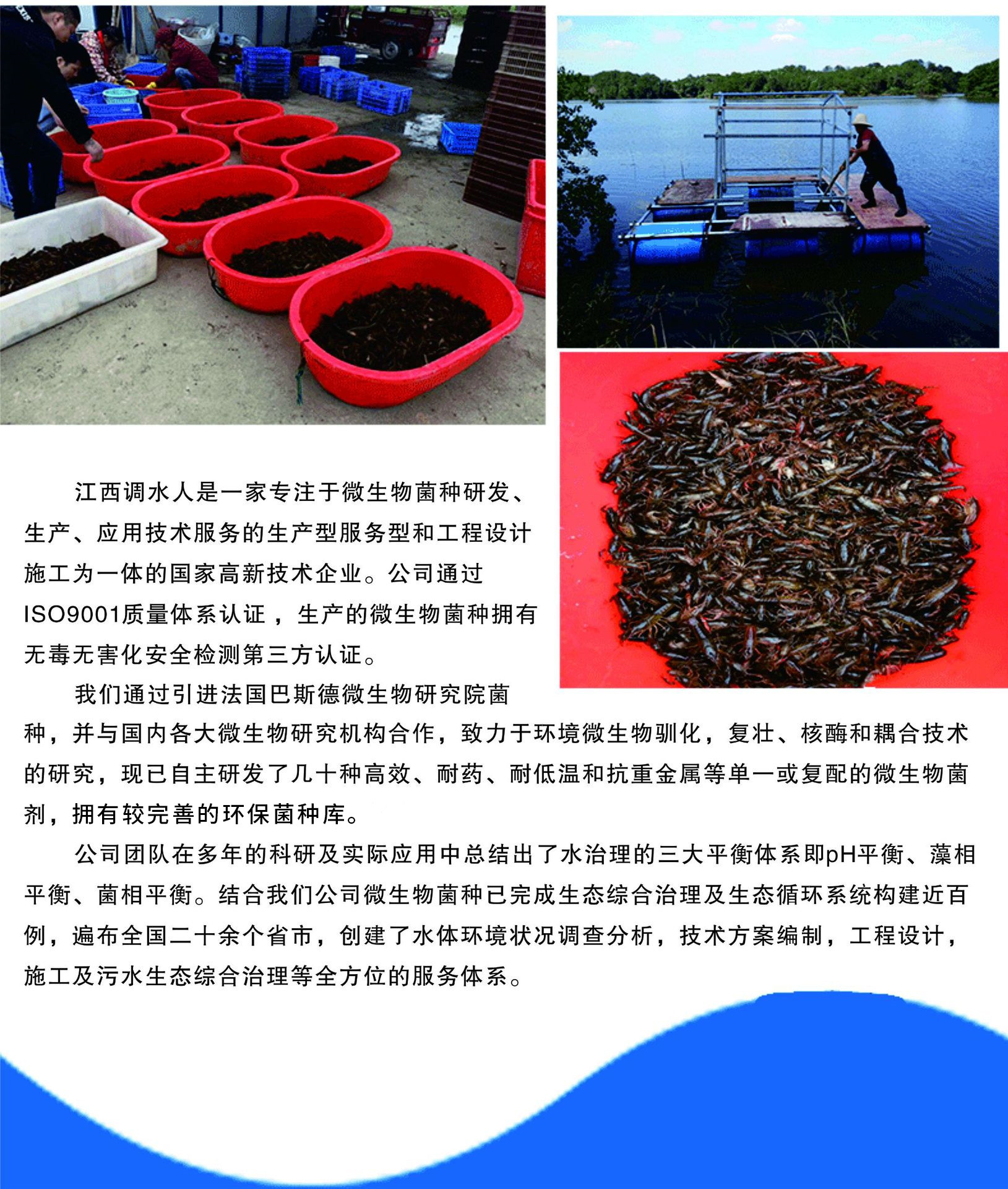 em菌水產(chǎn) 魚蝦蟹塘凈水改底調(diào)水em菌粉 水產(chǎn)養(yǎng)殖em菌種em菌