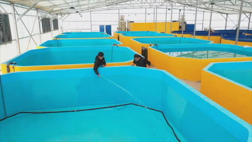 從沙漠鹽堿到 魚蝦滿倉 和田縣新一年備產正酣