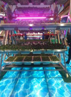 【記者觀察】信息技術的發(fā)展給傳統(tǒng)農(nóng)業(yè)帶來了怎樣的改變?