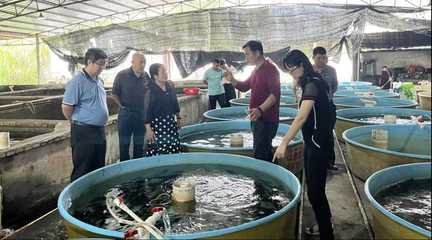 廣西水產(chǎn)科學研究院開展水產(chǎn)養(yǎng)殖技術及水產(chǎn)品加工技術指導