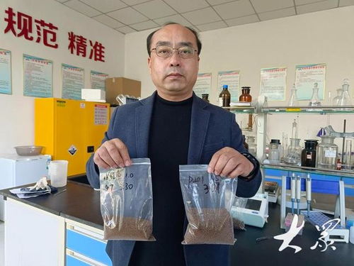 新型飼料助力養(yǎng)殖成本降低，農(nóng)家樂休閑觀光服務(wù)展現(xiàn)農(nóng)業(yè)新動(dòng)能