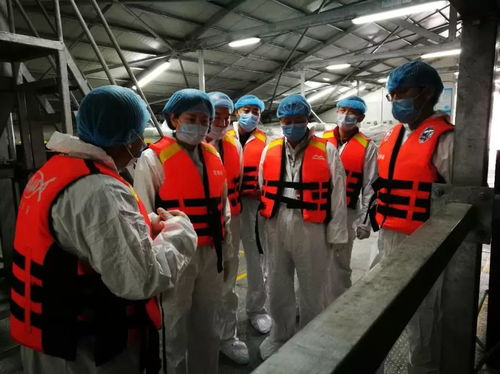 青海省冷水魚養(yǎng)殖質(zhì)量安全與技術(shù)發(fā)展調(diào)研紀(jì)實(shí)