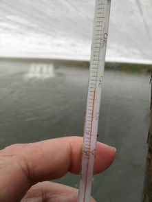 珠海農發中心深入基層，科學開展水產養殖防寒減災工作