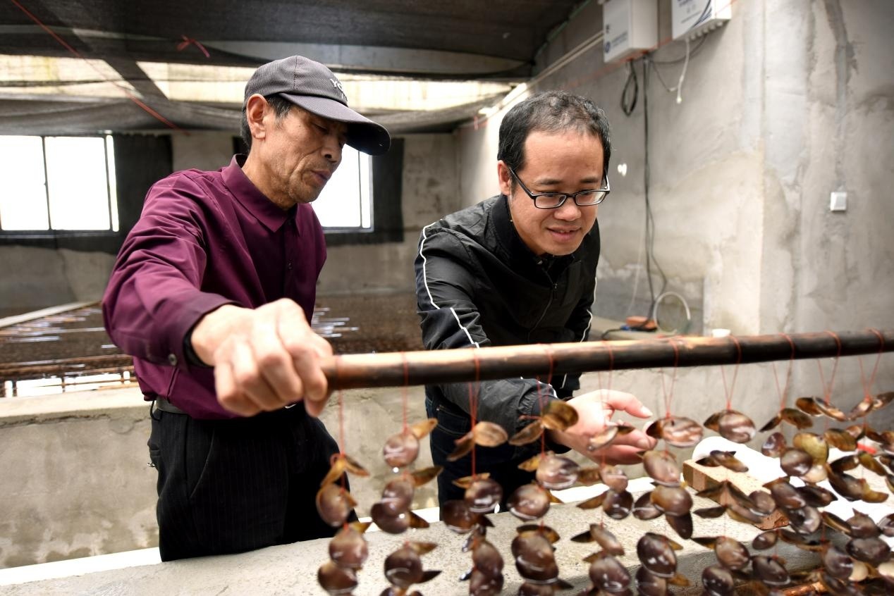 溫州洞頭 巡視整改出成效，海島漁業大“聚變”